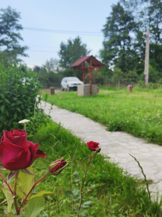 Casa Luca Ama Bran Villa Bran  Eksteriør billede