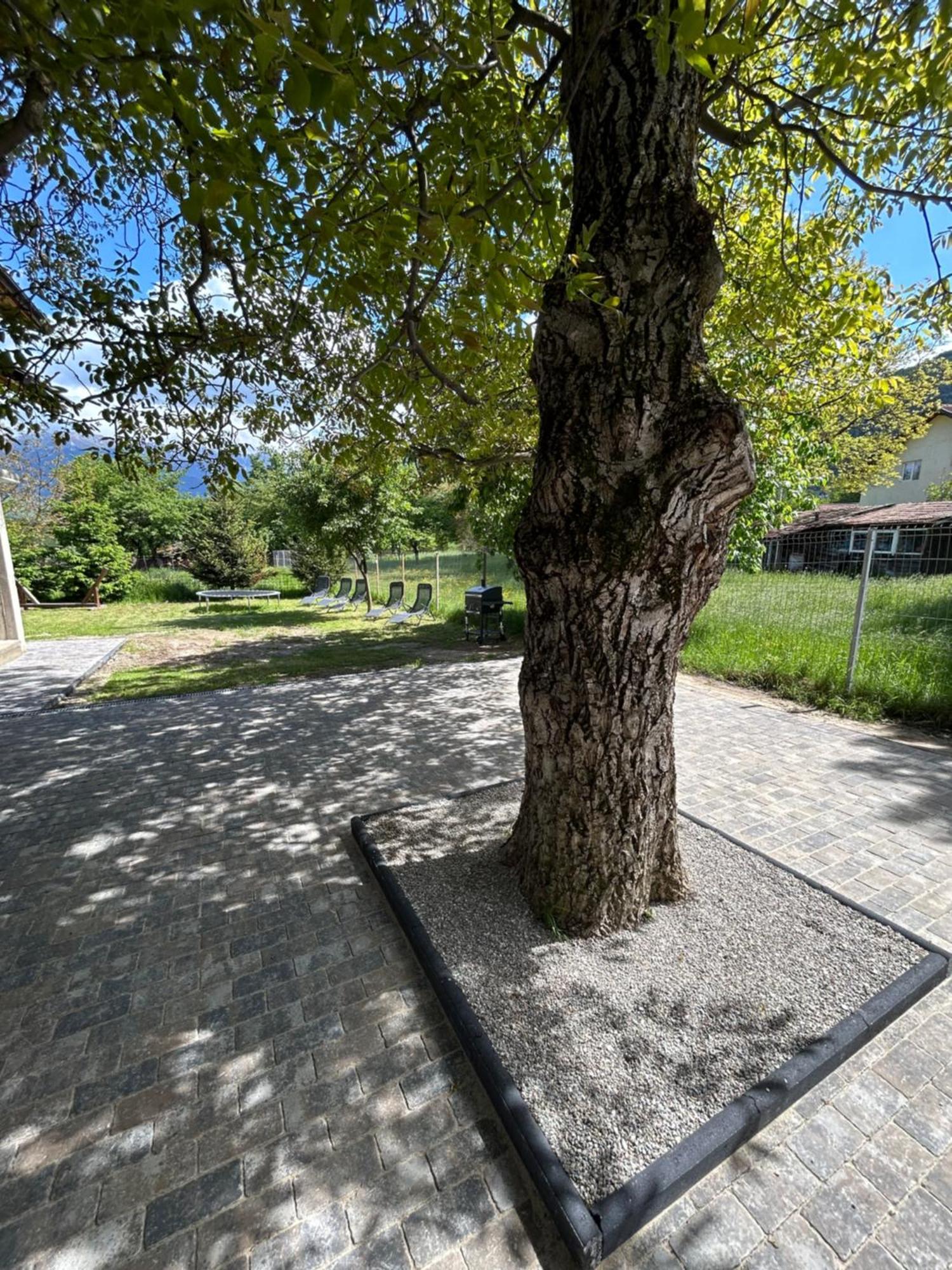 Casa Luca Ama Bran Villa Bran  Eksteriør billede