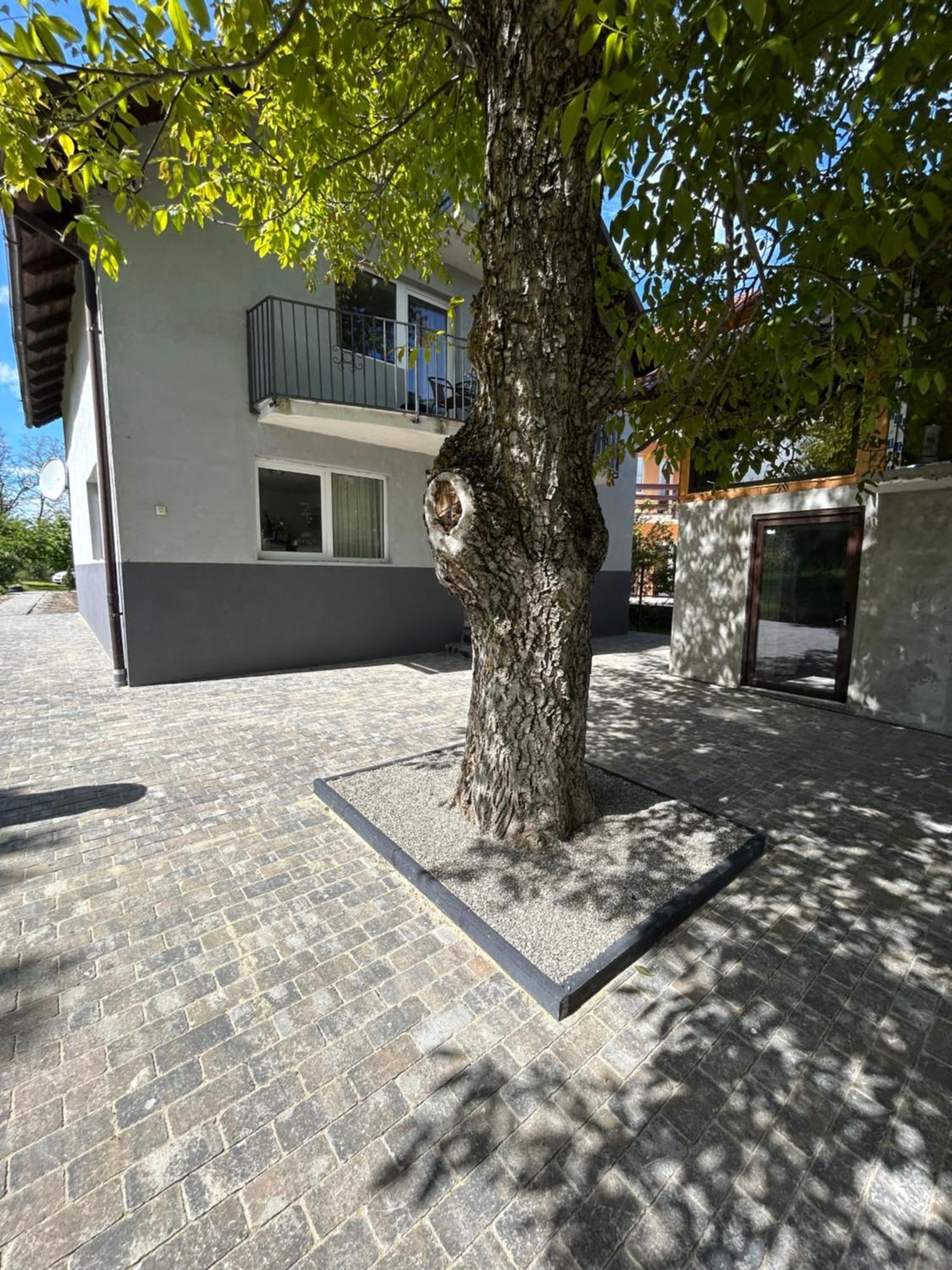 Casa Luca Ama Bran Villa Bran  Eksteriør billede