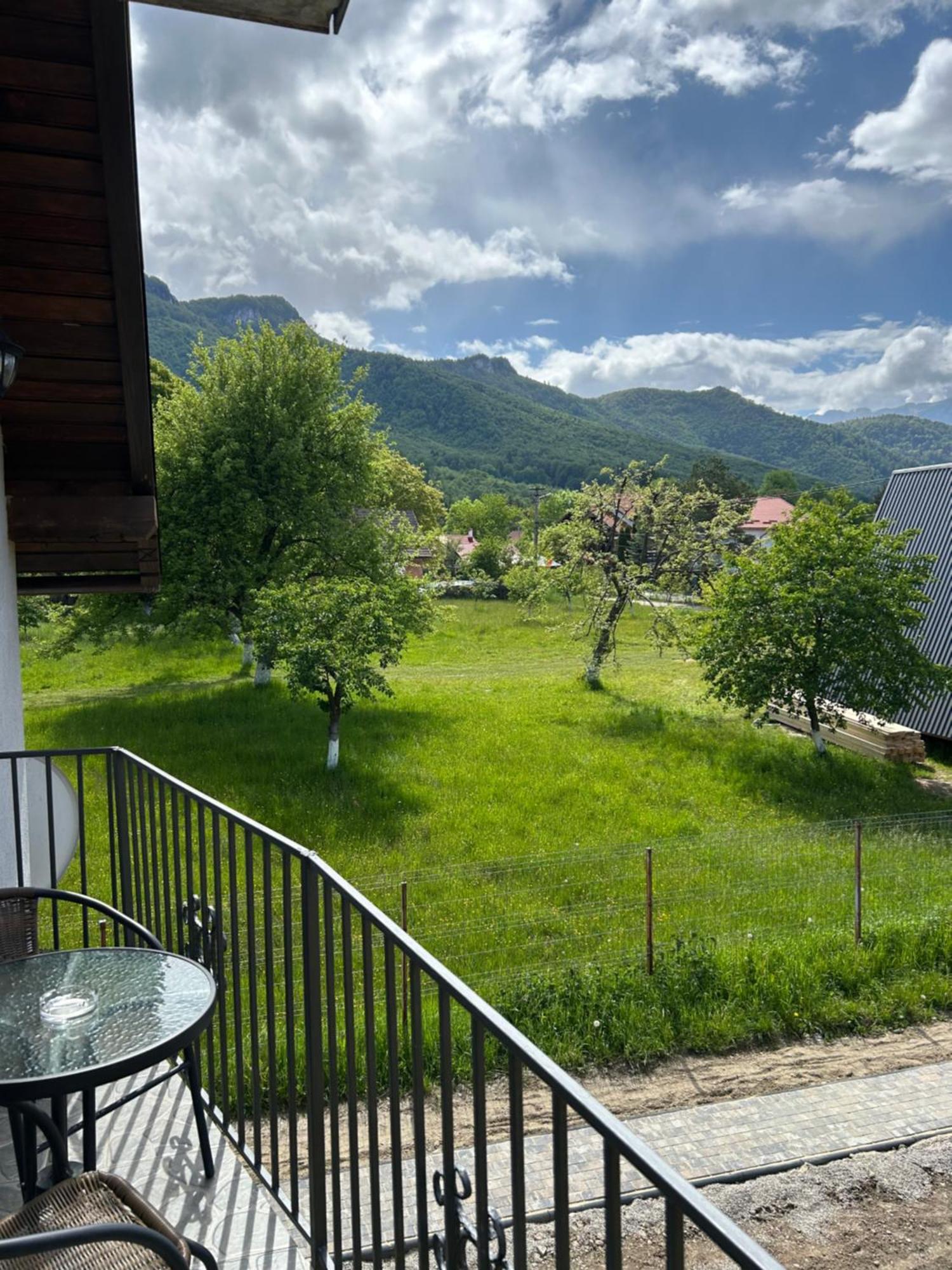 Casa Luca Ama Bran Villa Bran  Eksteriør billede