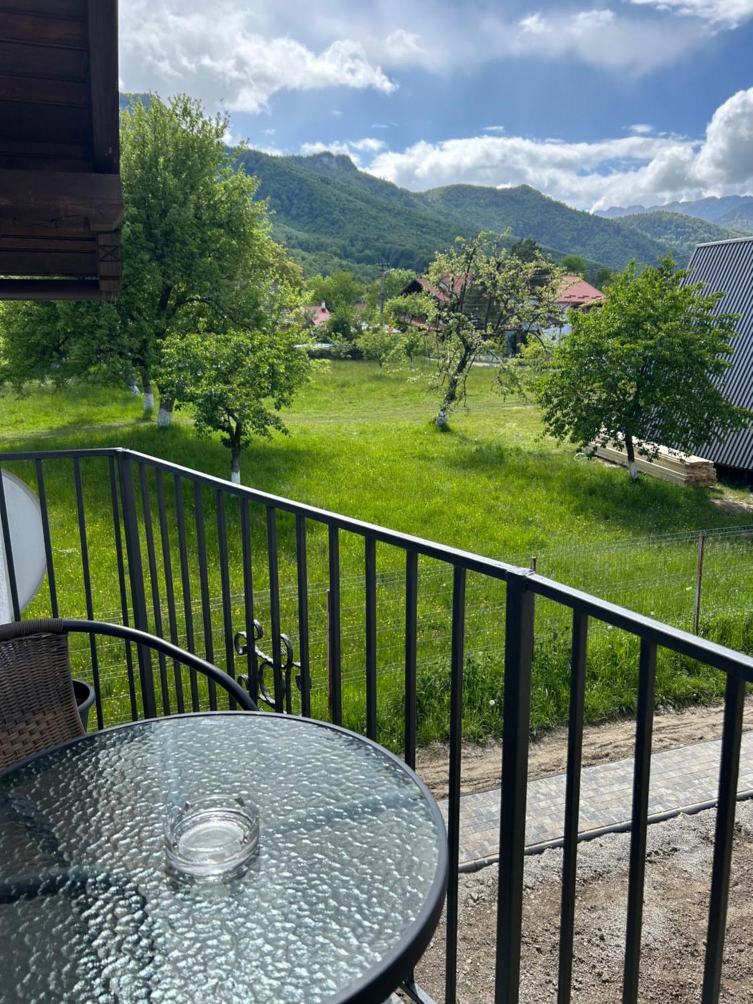 Casa Luca Ama Bran Villa Bran  Eksteriør billede
